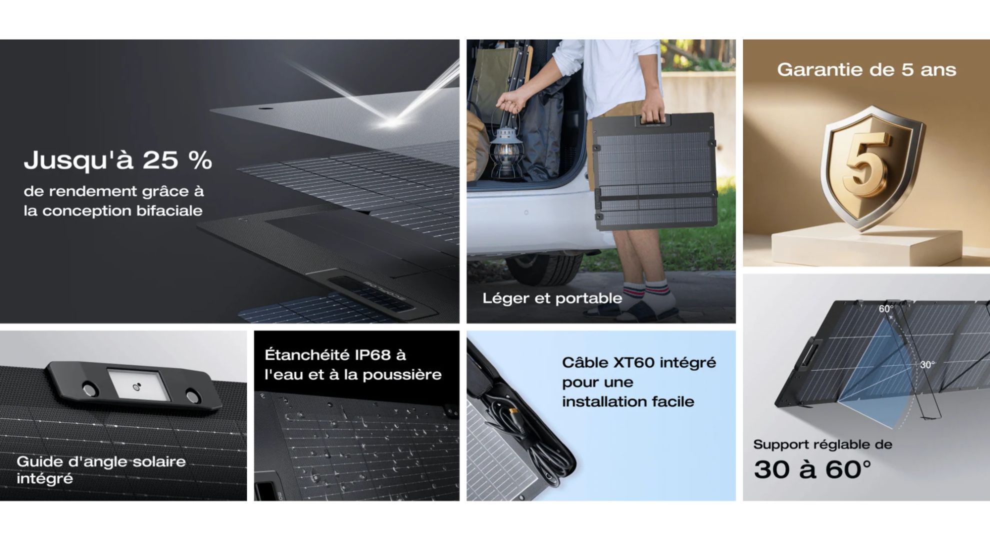 Description Ecoflow 220W